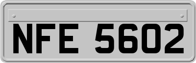NFE5602