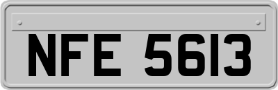 NFE5613