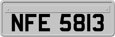 NFE5813