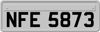 NFE5873