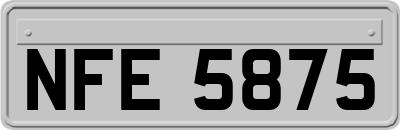 NFE5875