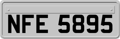 NFE5895