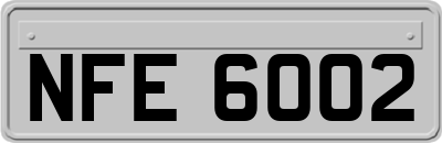 NFE6002
