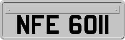 NFE6011