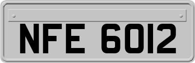 NFE6012