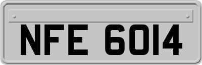NFE6014