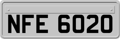 NFE6020