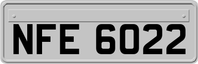 NFE6022