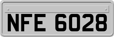NFE6028