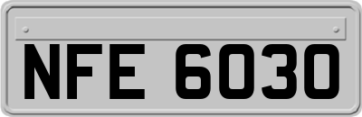 NFE6030