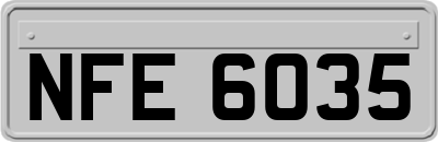 NFE6035