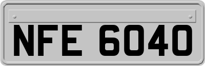 NFE6040