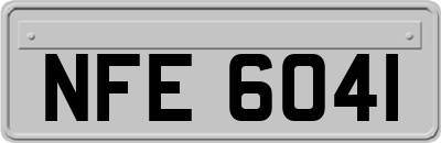 NFE6041