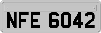 NFE6042