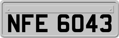 NFE6043