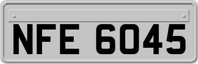 NFE6045