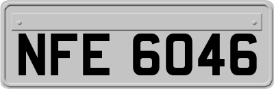 NFE6046