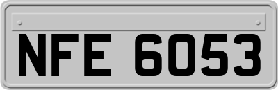 NFE6053
