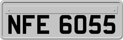 NFE6055