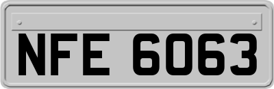 NFE6063