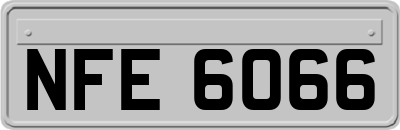 NFE6066