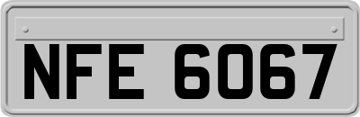 NFE6067