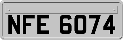 NFE6074