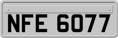 NFE6077