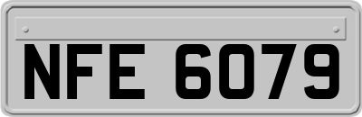 NFE6079