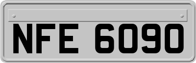 NFE6090