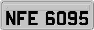 NFE6095