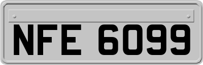 NFE6099