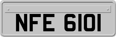 NFE6101