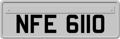 NFE6110