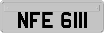NFE6111