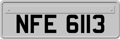 NFE6113
