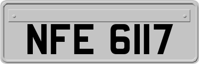 NFE6117