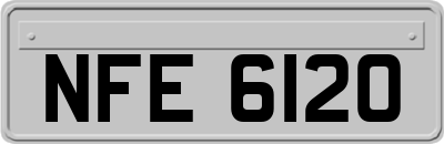 NFE6120