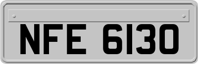NFE6130