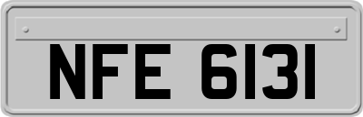 NFE6131