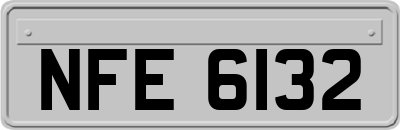 NFE6132