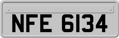 NFE6134