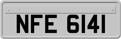 NFE6141