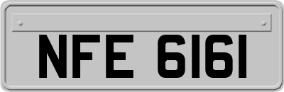 NFE6161
