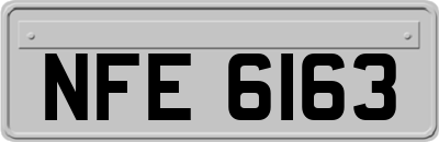 NFE6163
