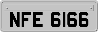 NFE6166