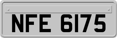 NFE6175