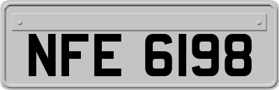 NFE6198