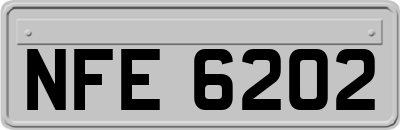 NFE6202