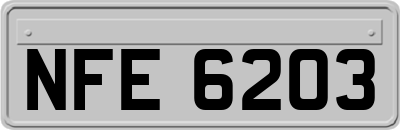 NFE6203
